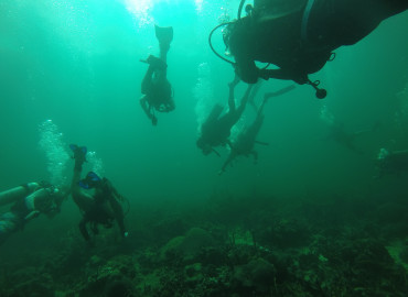 Study Abroad Reviews for Outward Bound Costa Rica: Scuba, Sea Turtles, Service & Sloths