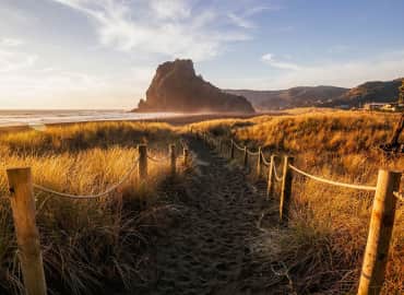 Study Abroad Reviews for CIEE: Auckland - Arts & Sciences (University of Auckland)