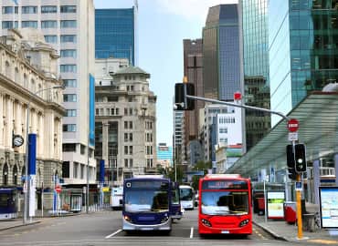 Study Abroad Reviews for CIEE: Auckland - Semester Intern + Study Abroad