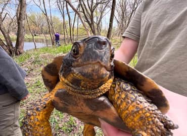 Study Abroad Reviews for University of Northern Iowa: Field Biology on the Galapagos