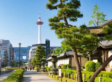 Study Abroad Reviews for CIEE: Engineering, Technology + Sciences in Kyoto
