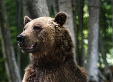 Study Abroad Reviews for Cerca Abroad: Greece - Wildlife Research