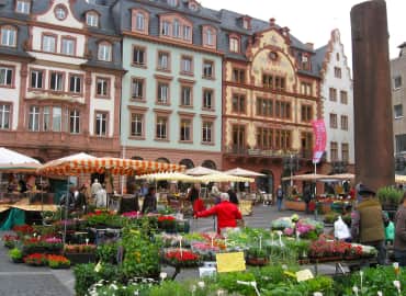 Study Abroad Reviews for Middlebury Schools Abroad: Middlebury in Mainz