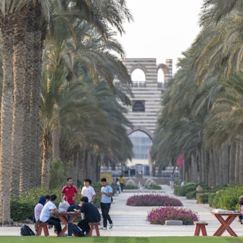 Study Arabic at The American University in Cairo