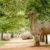 Photo of CIEE: Nanjing - Intensive Chinese Language and Culture