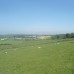 Photo of Adelante: Edinburgh - Ecological Conservation Summer Program in Scotland