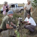 Photo of Earthwatch: Brazil - Blazing the Biodiversity Trail in Brazil