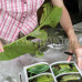 Photo of Earthwatch: Costa Rica - Climate Change & Caterpillars in Costa Rica
