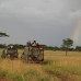 Photo of The School for Field Studies / SFS: Tanzania - Wildlife Management Studies