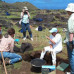 Photo of Earthwatch: Chile - Restoring Easter Island's Forests