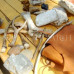 Photo of Earthwatch: Italy - Discovering Italy’s Ancient Etruscan and Roman Coast