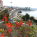 Photo of Academic Studies Abroad: Study Abroad in Vina del Mar, Chile
