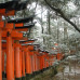 Photo of Nagoya University: Nagoya - Direct Enrollment & Exchange