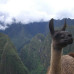 Photo of CISabroad (Center for International Studies): Cusco - Summer in Cusco