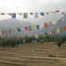 Photo of SUNY Purchase: Dharamsala - Summer Faculty-Led Program to India