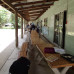 Photo of The School for Field Studies / SFS: Australia – Rainforest studies