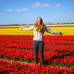 Photo of Study Abroad Programs in the Netherlands