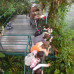 Photo of SIT Study Abroad: Ecuador - Comparative Ecology and Conservation