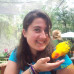 Photo of The School for Field Studies / SFS: Australia – Rainforest studies