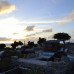 Photo of The School for Field Studies / SFS: Turks and Caicos Islands - Marine Resource Studies
