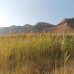 Photo of KIIS: Greece - Experience Greece, Summer Program