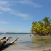 Photo of The School for Field Studies / SFS: Panama - Tropical Island Biodiversity Studies