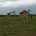 Photo of CIEE: Gaborone - Community Public Health