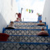 Photo of SIT Study Abroad: Morocco - Multiculturalism and Human Rights