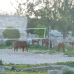 Photo of The School for Field Studies / SFS: Turks and Caicos Islands - Marine Resource Studies