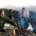 Photo of Wildlands Studies: New Zealand Project: Ecosystems And Conservation