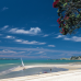 Photo of The Education Abroad Network (TEAN): Auckland - AUT University