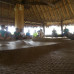 Photo of Sea Education Association: Sustainability in Pacific Island Communities and Ecosystems