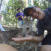 Photo of SIT Study Abroad: Australia - Rainforest, Reef, and Cultural Ecology