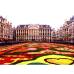 Photo of CIEE: Brussels - Business, Communications and Culture