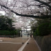 Photo of IES Abroad: Nagoya Direct Enrollment - Nanzan University