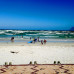 Photo of CIEE: Cape Town - Service Learning