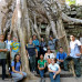 Photo of The School for Field Studies / SFS: Cambodia – Conservation and Development Studies