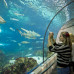 Photo of Oxbridge Academic Programs: Barcelona - Oxbridge in Barcelona