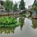 Photo of IFSA/Alliance: Shanghai - Intensive Chinese Language 