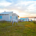 Photo of Middlebury Schools Abroad: Middlebury in Montevideo