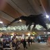 Photo of API (Academic Programs International): Wellington - Victoria University of Wellington
