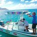 Photo of Broadreach: Programs at Sea - Caribbean PADI Divemaster