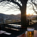Photo of IES Abroad: Freiburg - Environmental Studies & Sustainability
