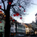 Photo of IES Abroad: Freiburg - Environmental Studies & Sustainability