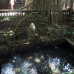 Photo of Eastern Illinois University (EIU): Bali & Java - Imagine Indonesia: Discover the Wonders of Bali and Java