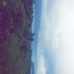 Photo of Stephen F. Austin State University (SFA): Leadership Development and Community Engagement in Costa Rica