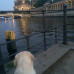 Photo of IES Abroad: Berlin - Study Abroad With IES Abroad