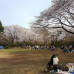 Photo of Temple University International Programs: Tokyo - Temple University Japan Campus