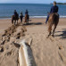 Photo of ISA Study Abroad in Townsville, Australia