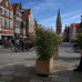 Photo of USAC Germany: Lüneburg - German Language, European and Sustainability/Environmental Studies